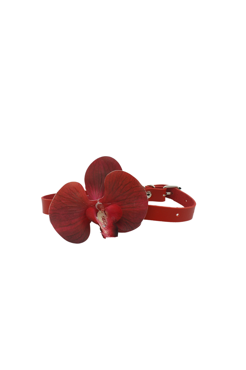 [春] - Phalaenopsis choker (4color)