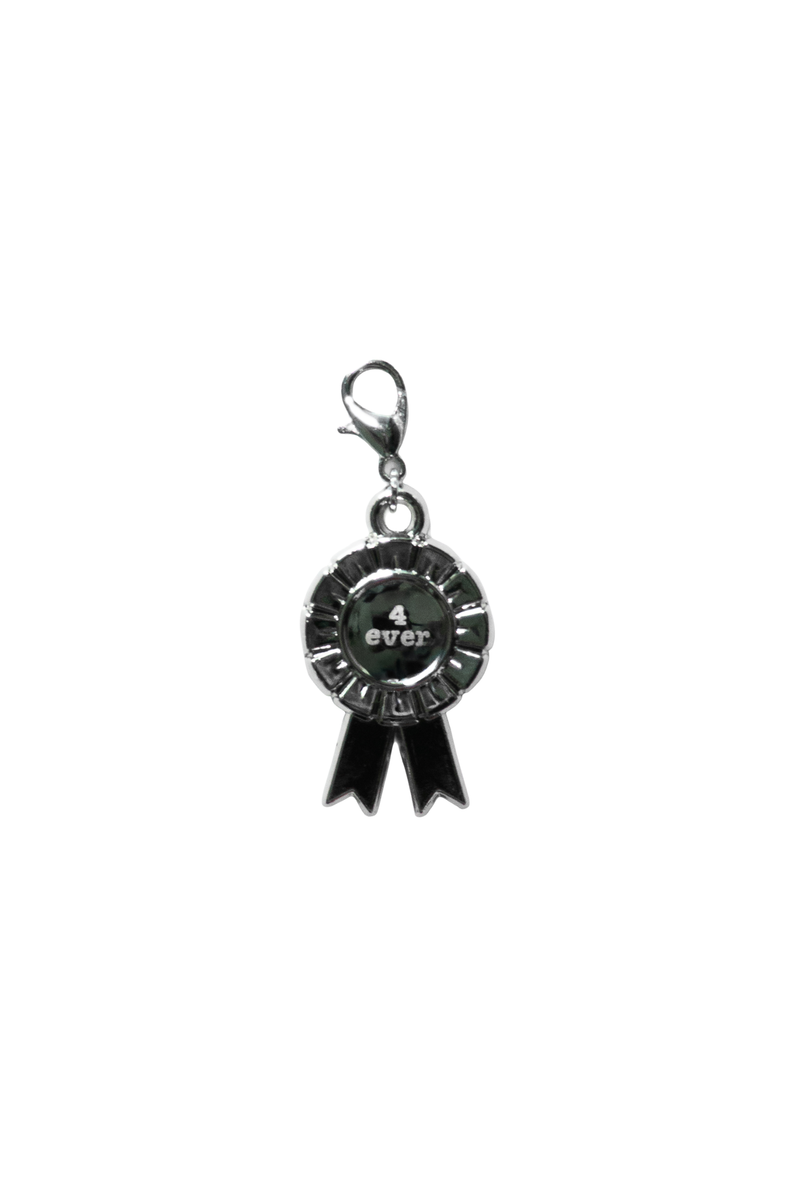 Journal Charms 