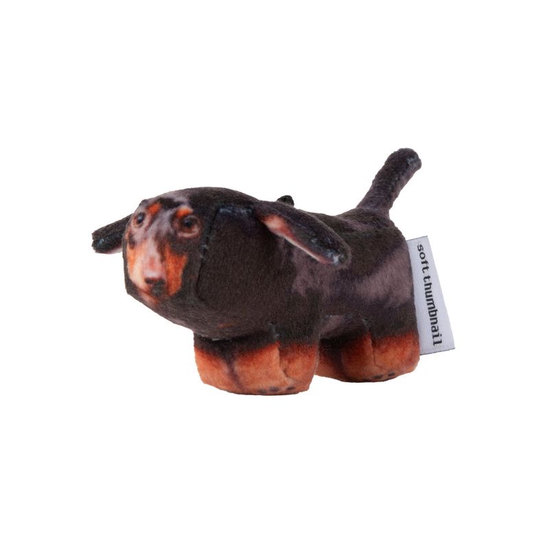 Duke, Dachshund