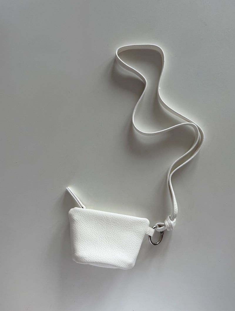 coin bag