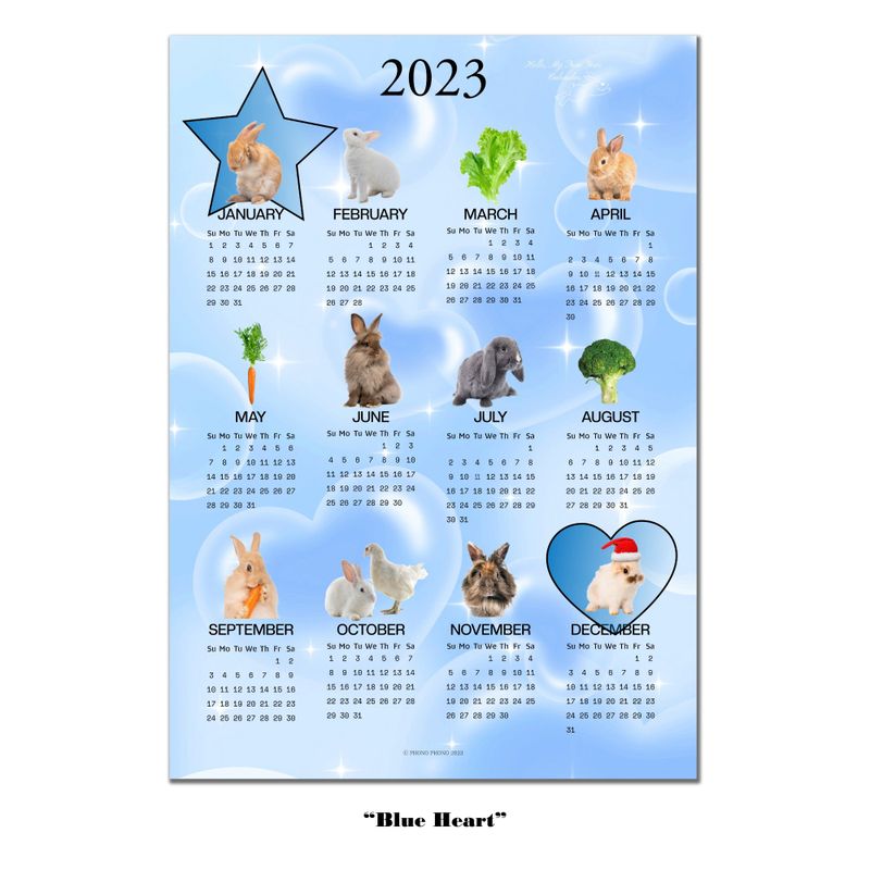 2023 RABBIT CALENDAR POSTER