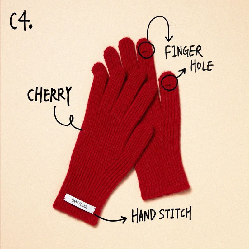basic wool glove (6 color)