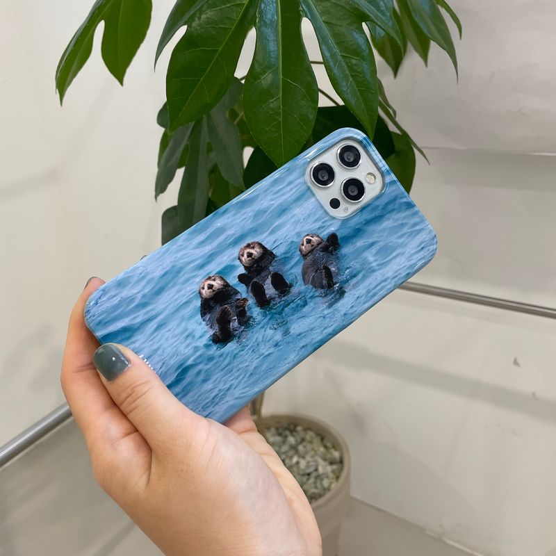 [sea otter triplets hard case]