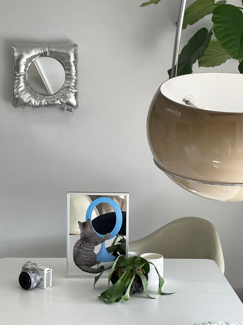 CAT POSTER MIRROR