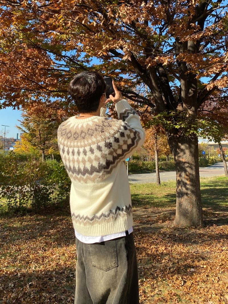 Mohair Nordic knit (4color)