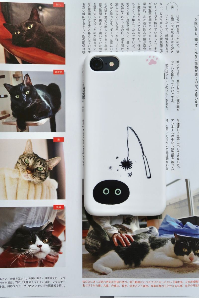 [MADE] hidden cat hard case