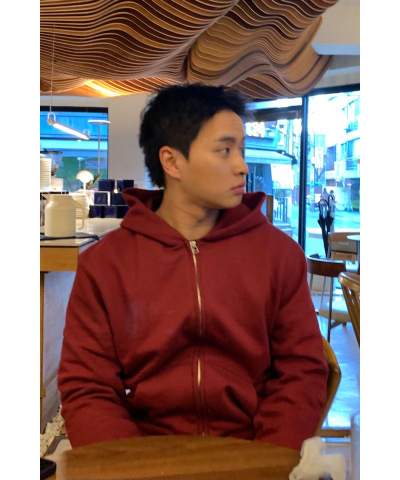 Standard hood zip-up
