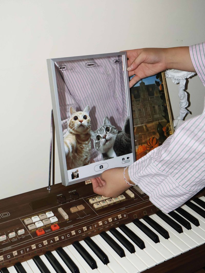 SELFIE CAT POSTER MIRROR 