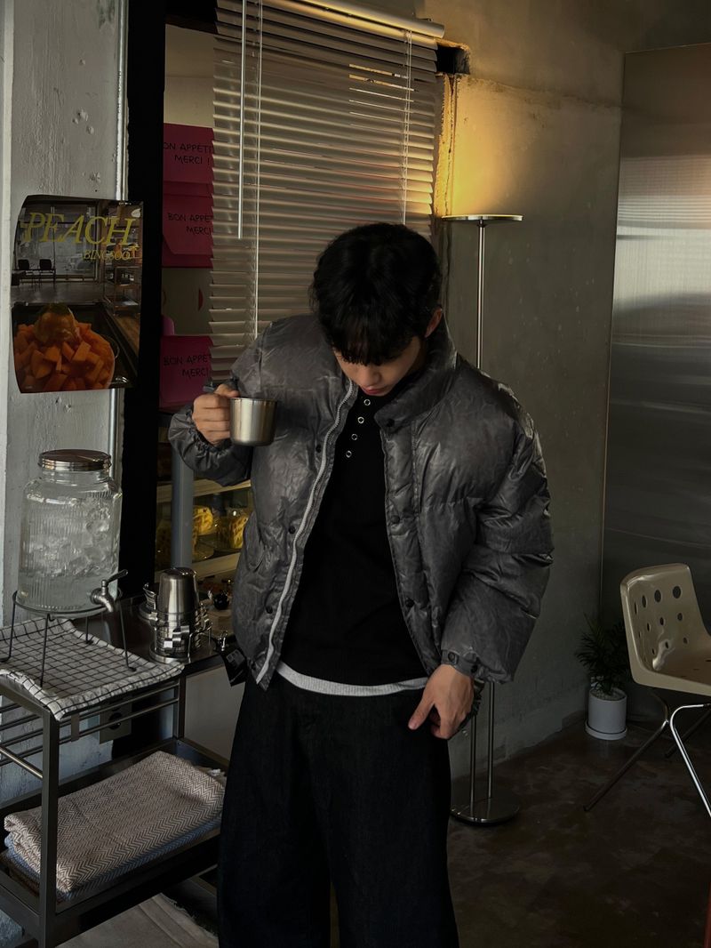 Cracked Nuptse Metallic Short Puffer Jacket
