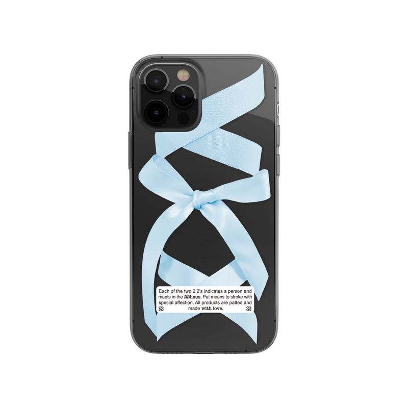 ballet ribbon case - sky blue