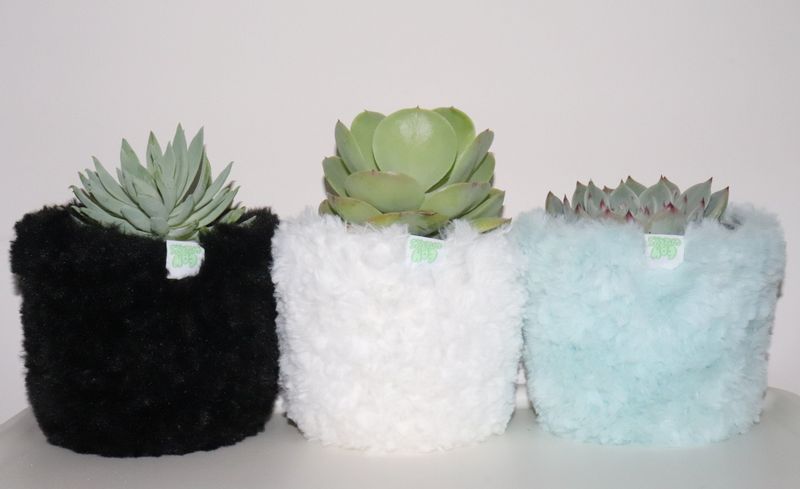 icy blue multi basket