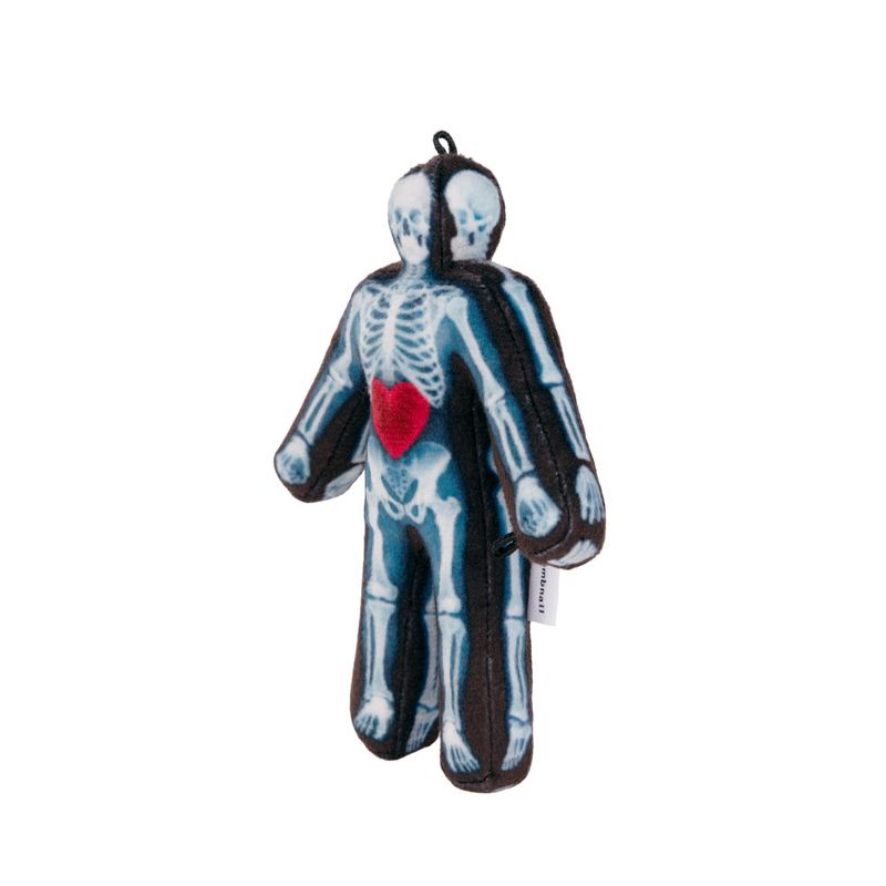 X-ray Human, Patient