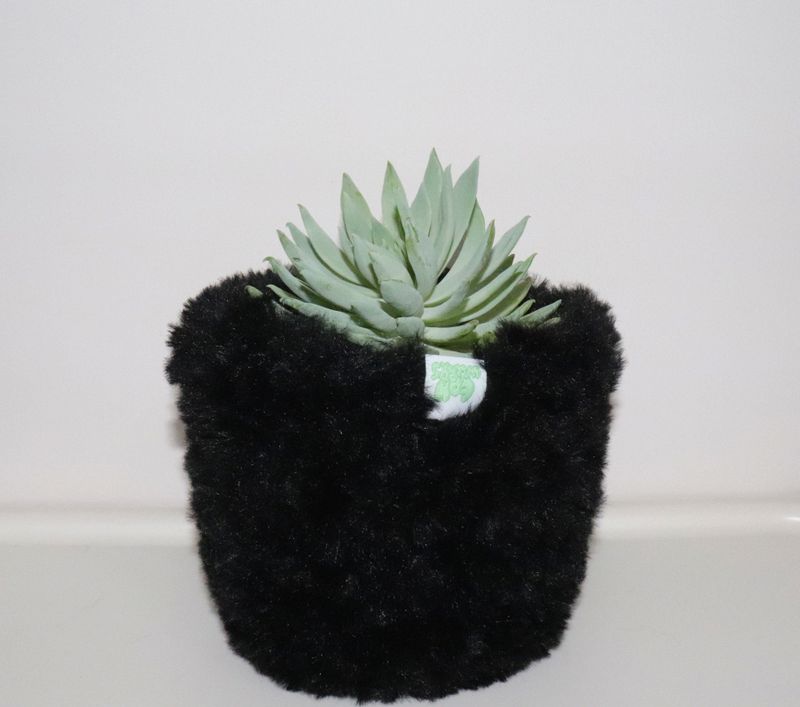 black multi basket