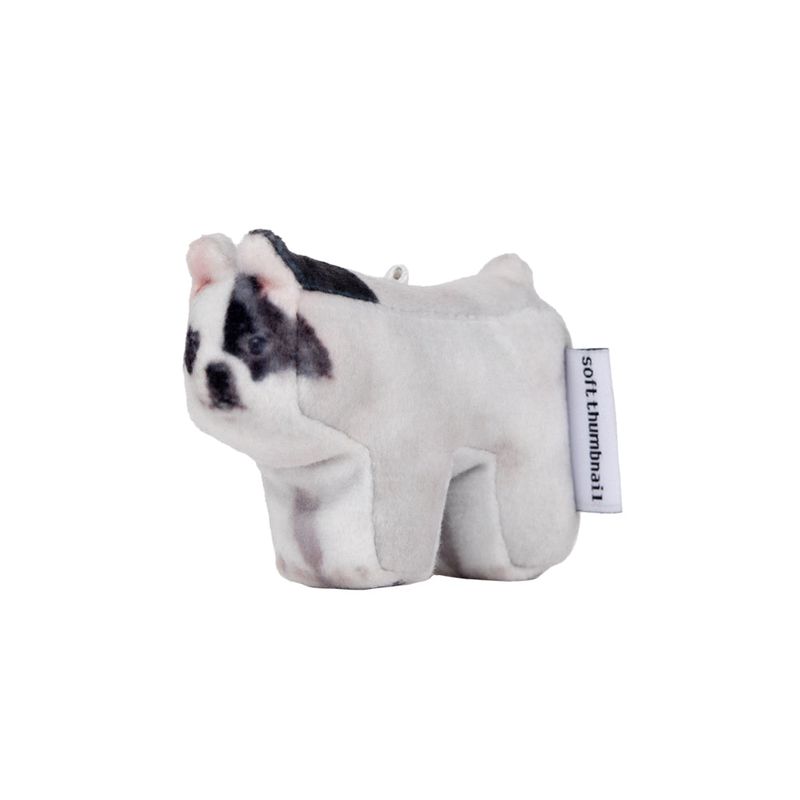 Rocky, Bulldog