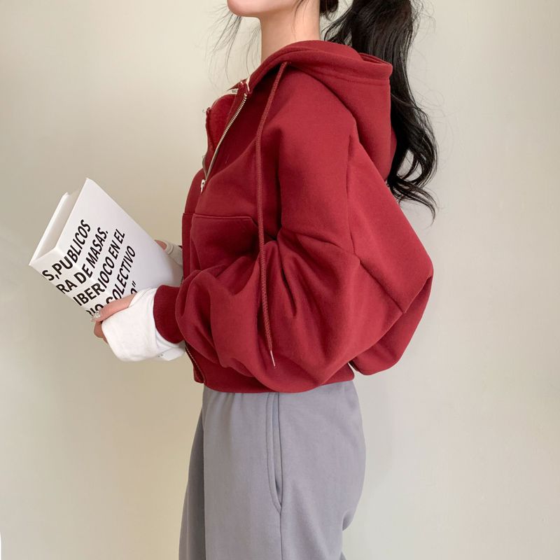 [Bellide made] embroidery napping hood zip-up