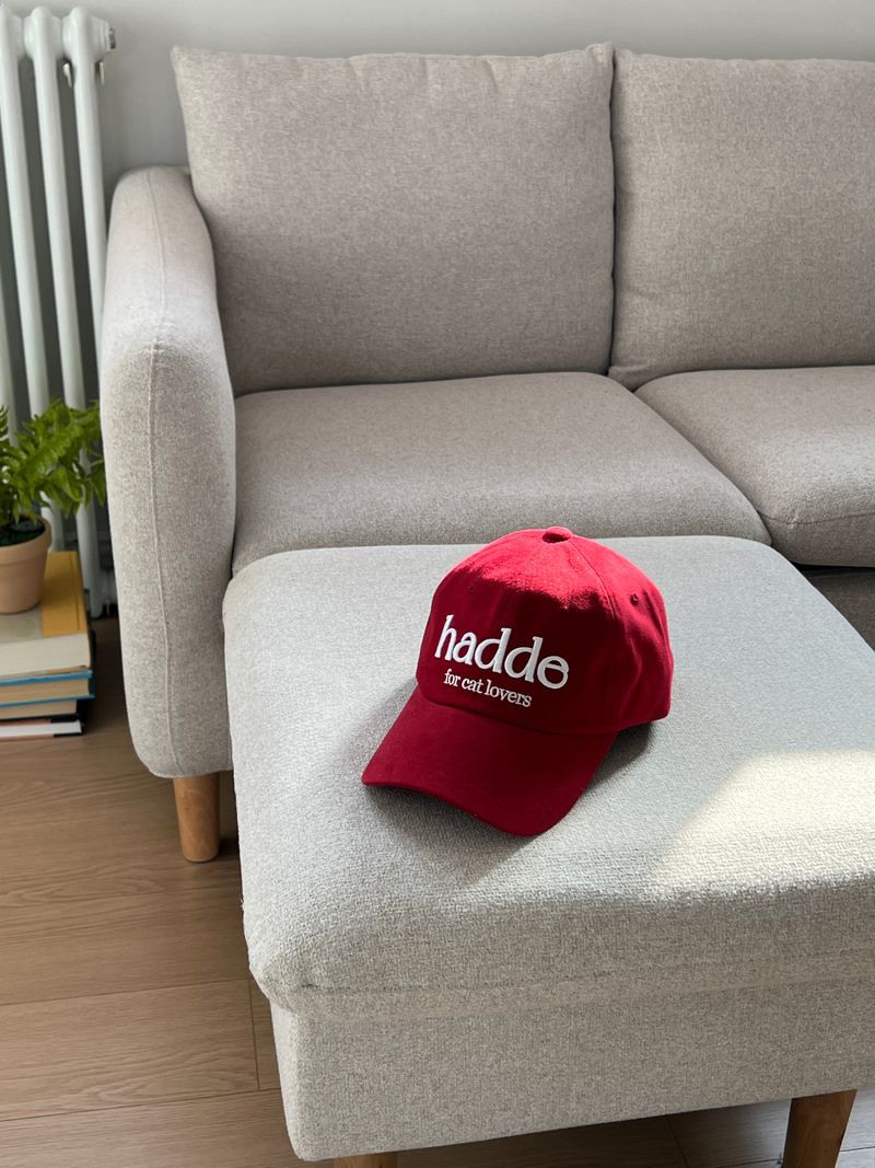 FOR CAT LOVERS RED BALL CAP
