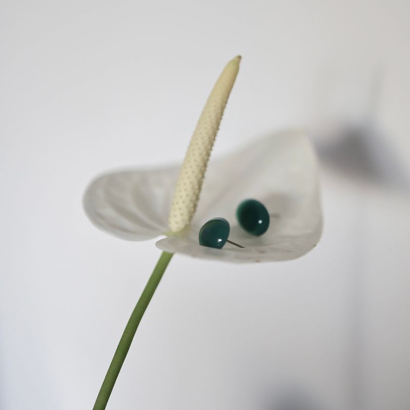 heim（ハイム）の「Cedar Agate Oval Pierce handmade（Accessories）」