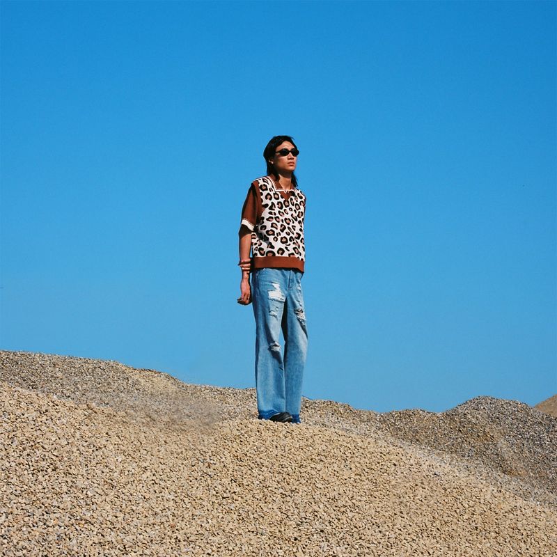 leopard cropped vest