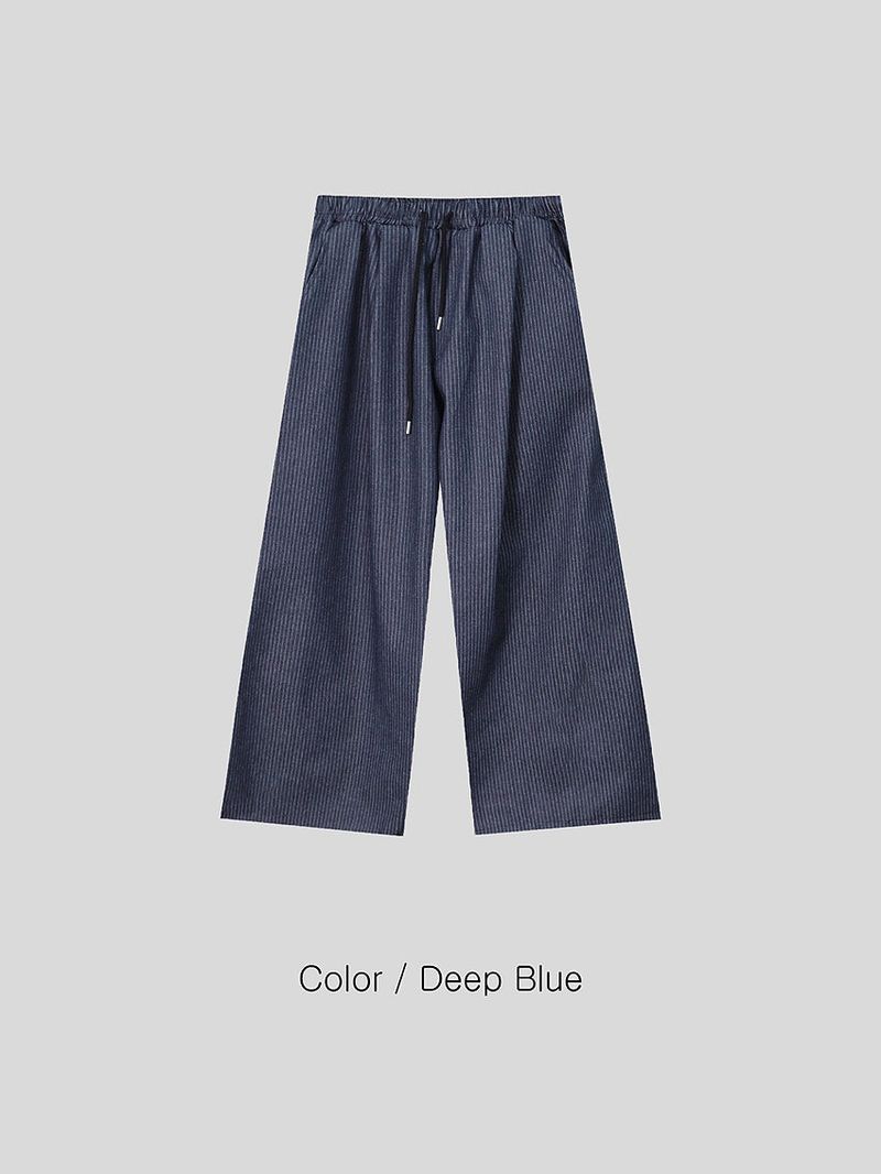 No.1064 B stripe carpenter denim PT