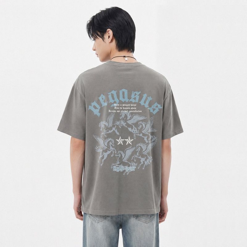 NTET（エヌティーイーティー）の「pegasus pigment-dyed short-sleeve t-shirt (3color)（Tops）」