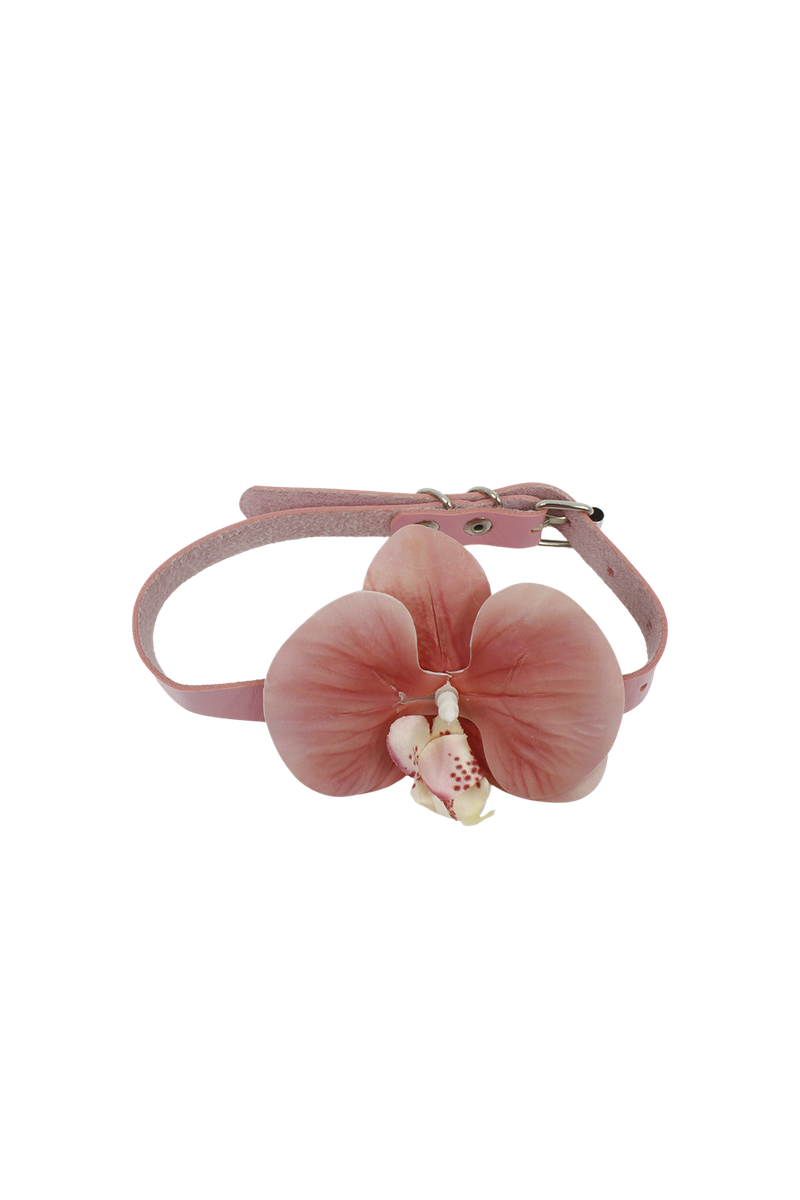 [春] - Phalaenopsis choker (4color)