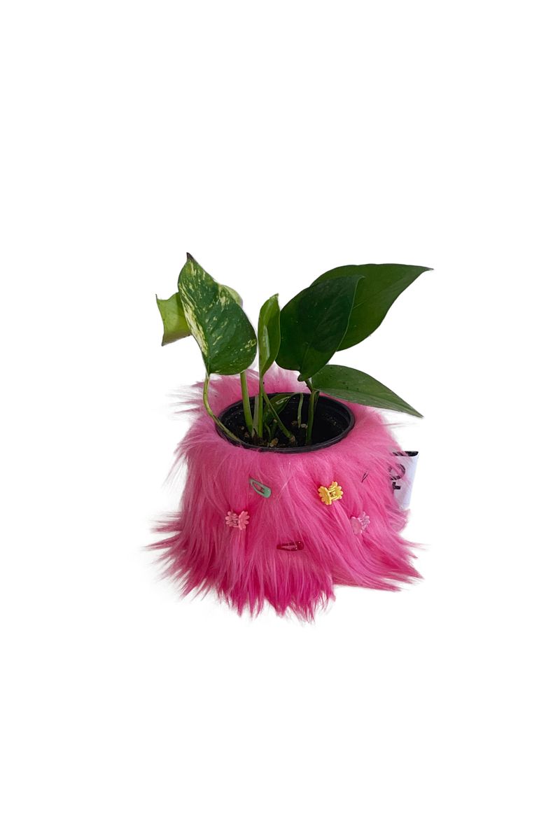 46month（フォーティーシックスマンス）の「FURRY POT COVER (PINK) + FURRY PIN SET（Interior）」