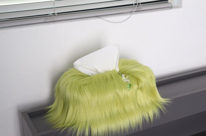 green apple tissue case