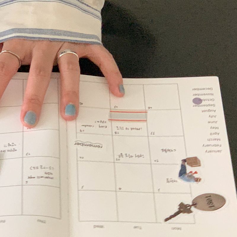 Record Diary (6month)