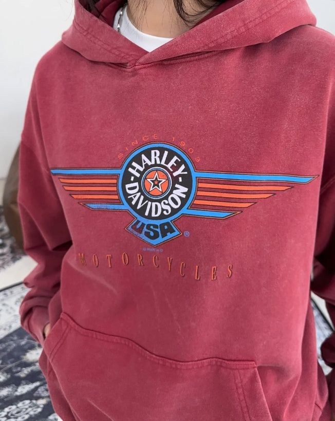 Liner Harley Dyeing Hoodie