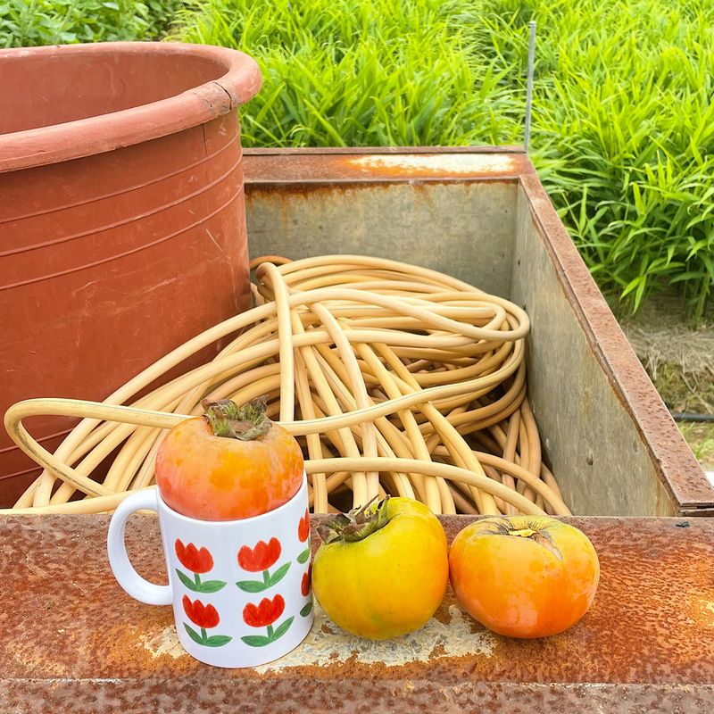 TULIP MUG CUP