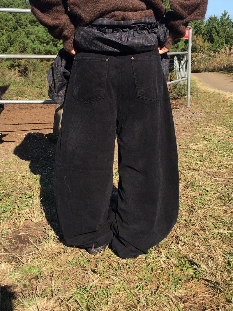 ward pants
