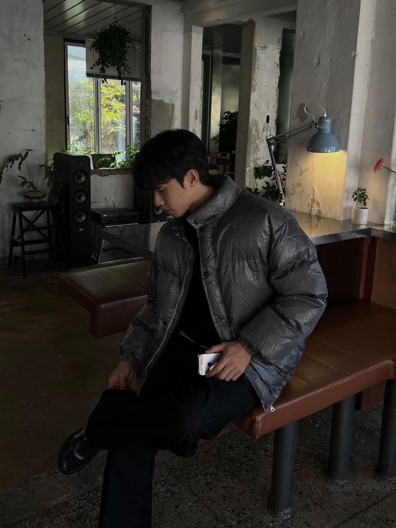 Cracked Nuptse Metallic Short Puffer Jacket
