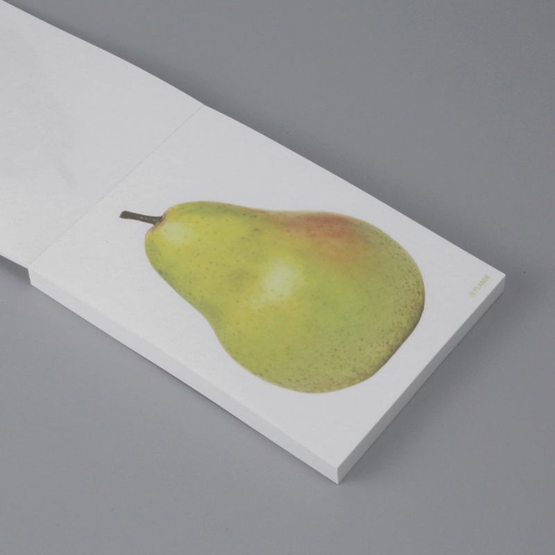 objet memo vol.6-fruit SET