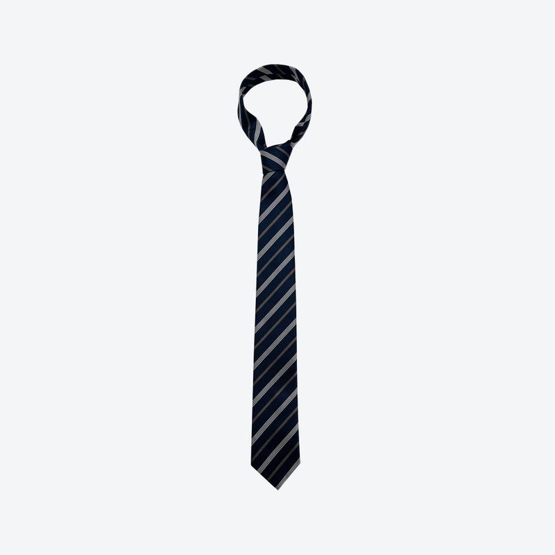 Lezen Stripe Tie