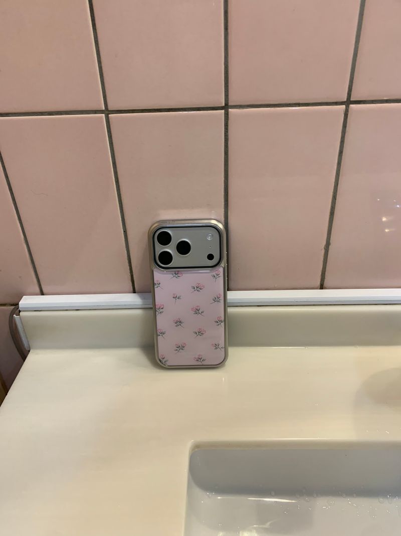 PETIT ROSE SILVER EPOXY CASE 