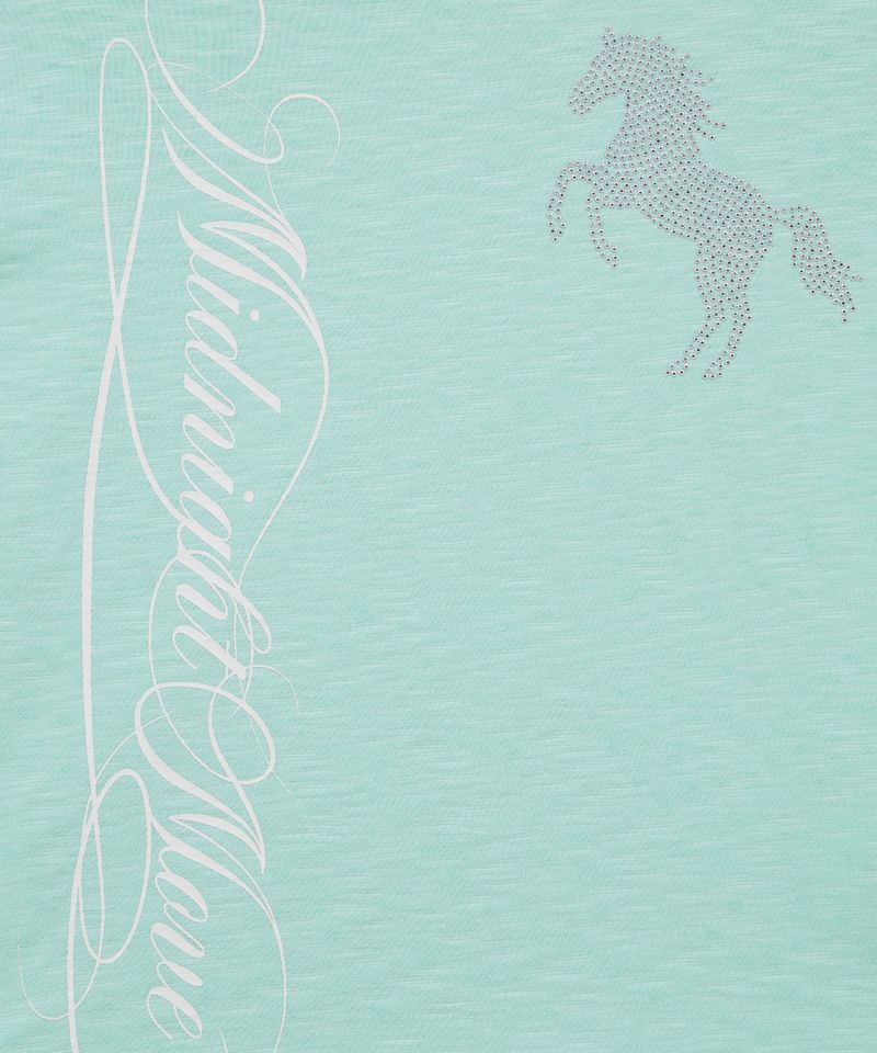 cbハウスＴシャツ (mint)