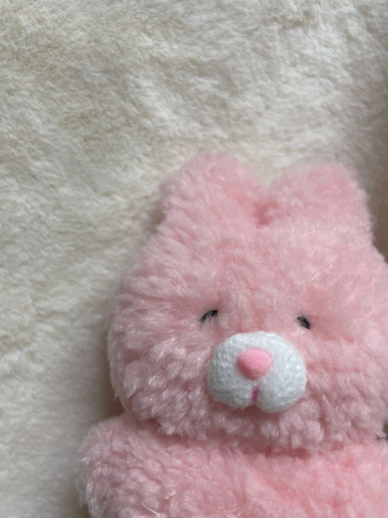 Strawberry milk rabbit