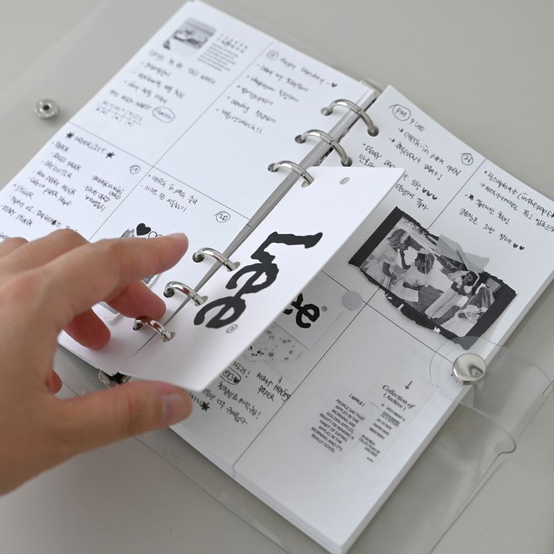 2024 6binder Diary