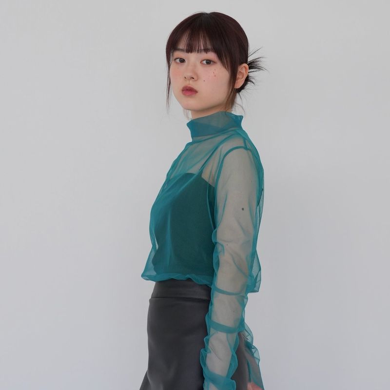 sheer mesh turtleneck
