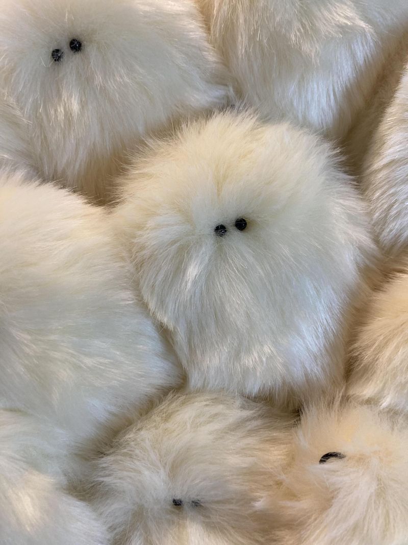 Potato