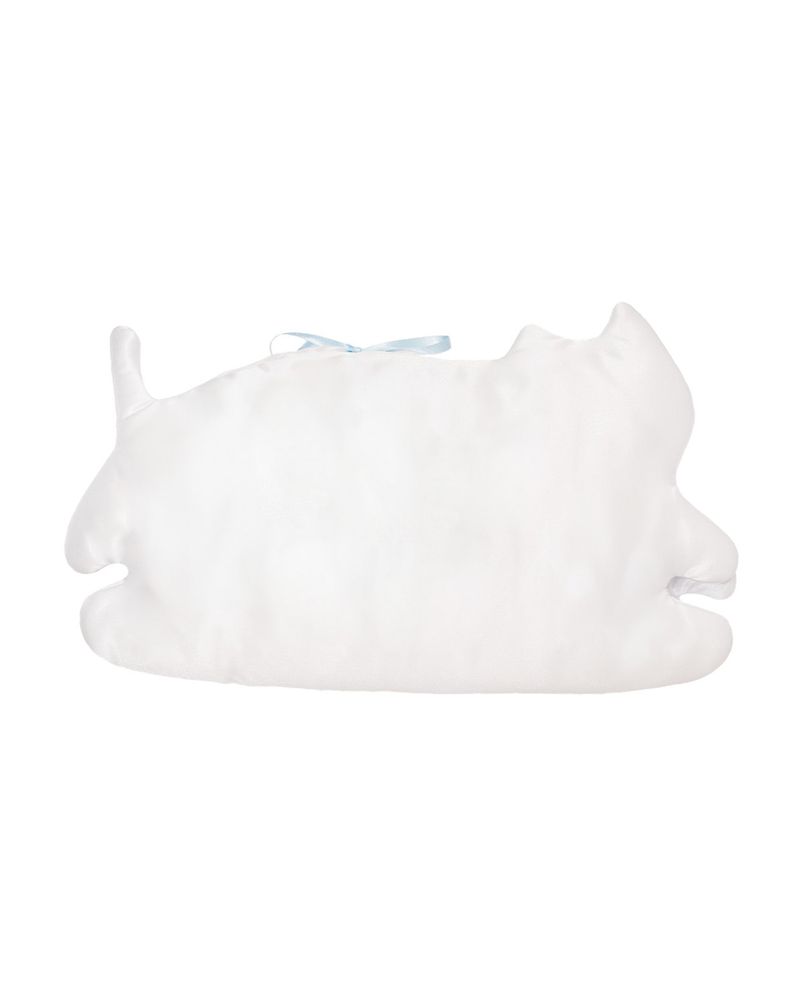 Cat book cover _ salt