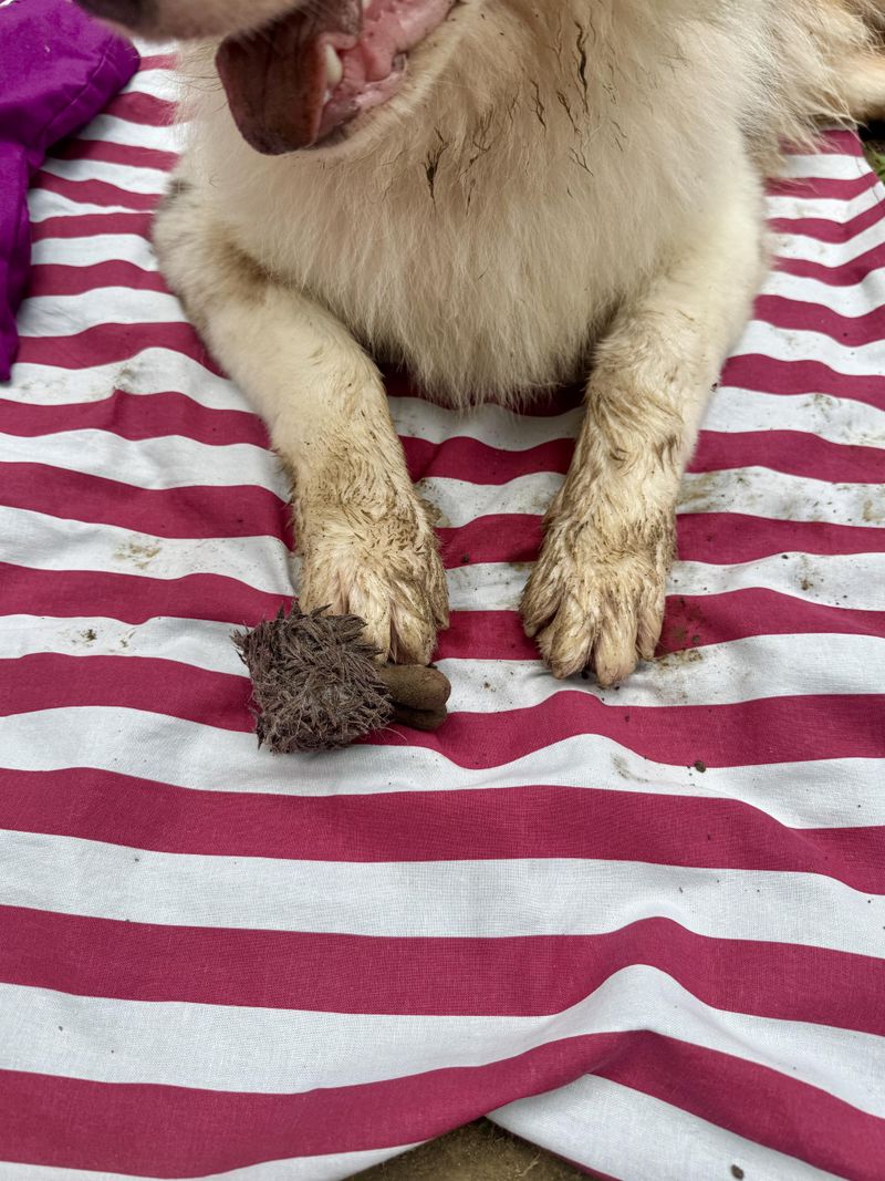 Nature Therapy Blanket & Mat