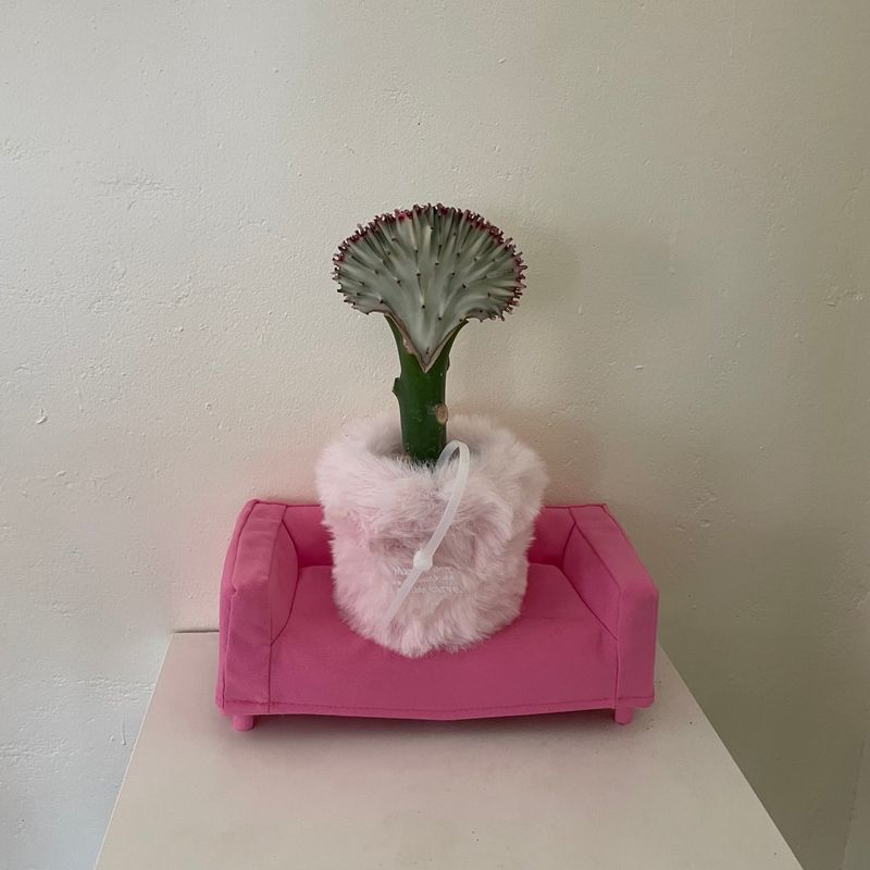 FLUFFY POT (S