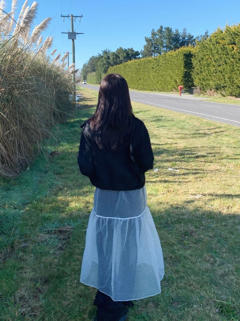 Chiffon See-Through Layered Skirt (1c)