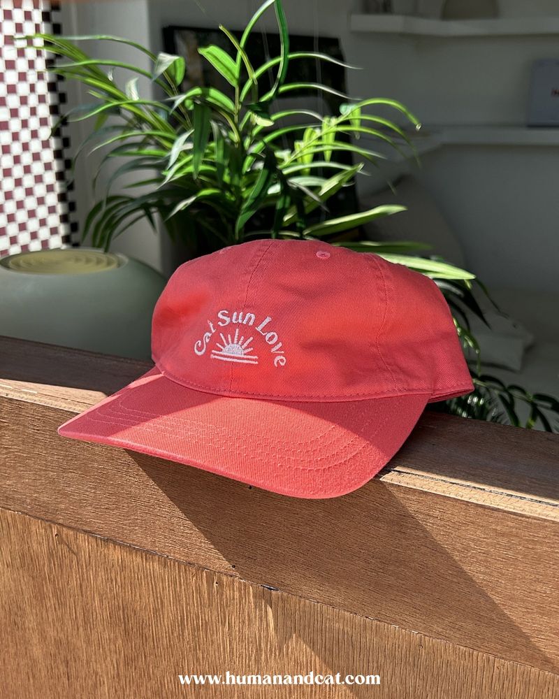 CAT SUN LOVE BALL CAP_CORAL