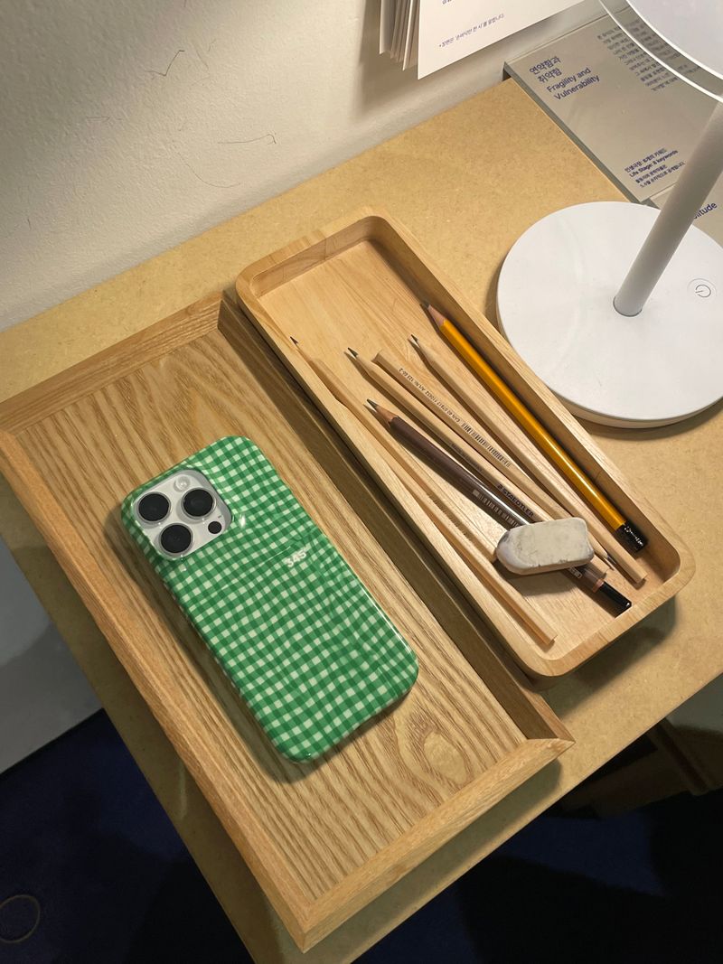 [SUMMER LIMITED] CHECK SEERSUCKER Hard Case / TREEFORFIVE345