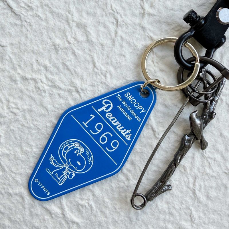 Wasteland Habitat Keychain