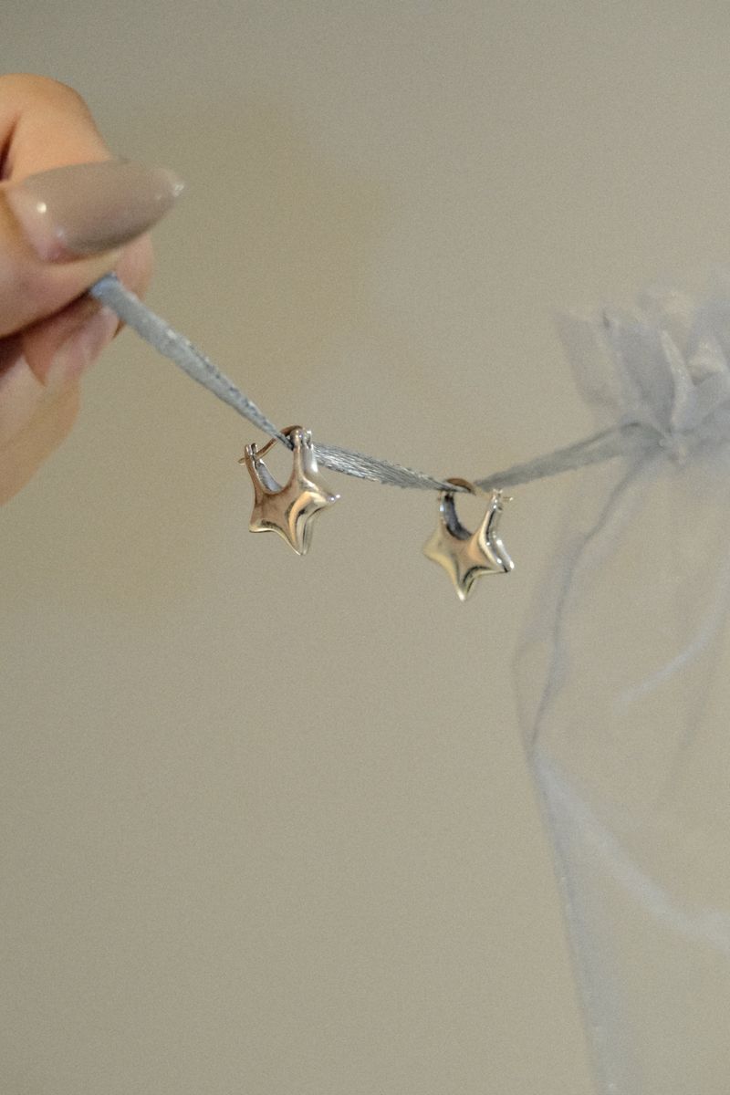 METALIC STAR POCKET EARRINGS