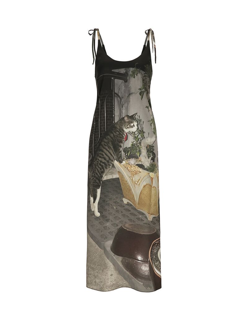 0 7 cat & black dress