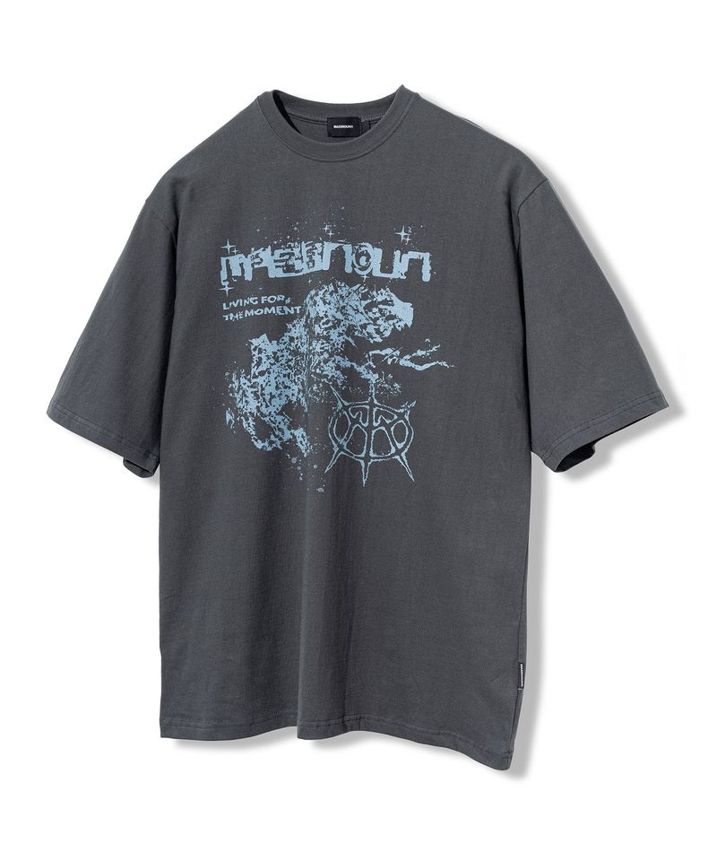 MASSNOUN(マスノウン)の「SNAKE REAL OVERSIZED SHORT T-SHIRTS MSFTS004-DG(Tops)」